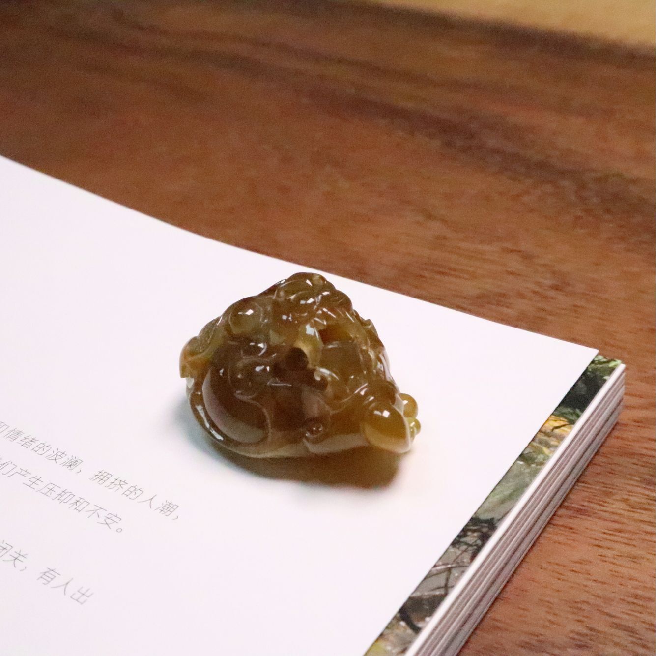 招財(cái)瑞獸